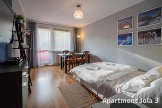 Апартаменты Apartamenty Jola Шклярска-Поремба Апартаменты с 2 спальнями-17